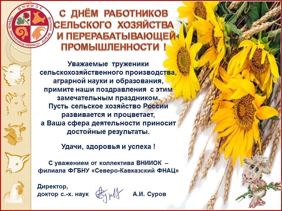 Поздравление с днем работника перерабатывающей промышленности. Открытки с днём сельского хозяйства и перерабатывающей производства. День работников сельского хозяйства в ДОУ. 8. День работника сельского хозяйства. Благодарность на день работника сельского хозяйства текст.